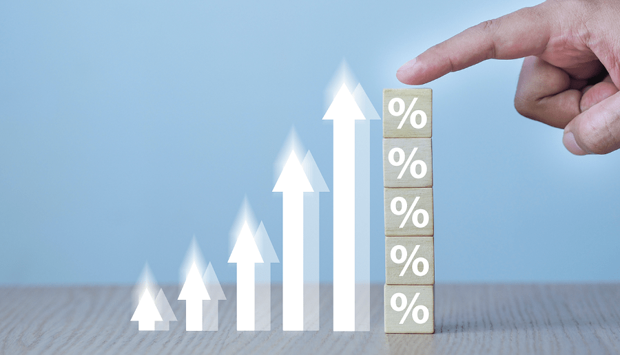 Deciphering the Puzzle of Business Capital Raising: Navigating Challenges with Expert Strategies